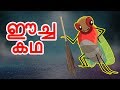 ഈച്ച കഥ | Malayalam Stories | Malayalam Cartoon | Malayalam Fairy Tales | JM Malayalam