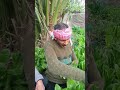خس طبي بيشفي جميع الامراض اكسبلور ضحك كوميديات هتضحك Funny