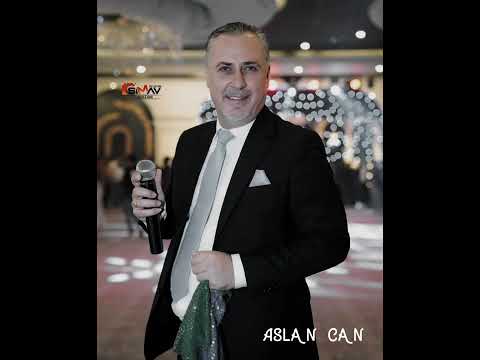 الفنان اصلان جان 