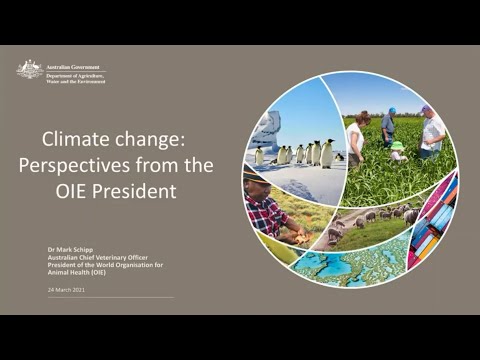 Mark Schipp on climate: Perspectives from the World Organisation for Animal  Health (OIE) President - YouTube