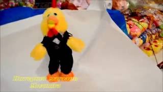 Игрушка цыпленок поет песню "Все для тебя" | Musical toy chick Игрушка цыпленок поет песню "Все для тебя" | Musical toy chick