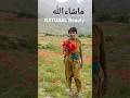 Natural Beauty | Village life | Tourist place | Farmhouse land