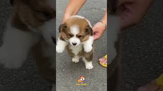 Mông To Không Lo Chết Đói