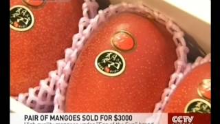 Pair of mangoes sold for $3000 in Japan