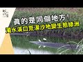 濁水溪河口的生態綠洲｜脫離「攪飯配沙」的日子(我們的島第1209集 2023-06-19)