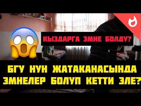 Video: Иттердеги ызы-чуу дем алуу