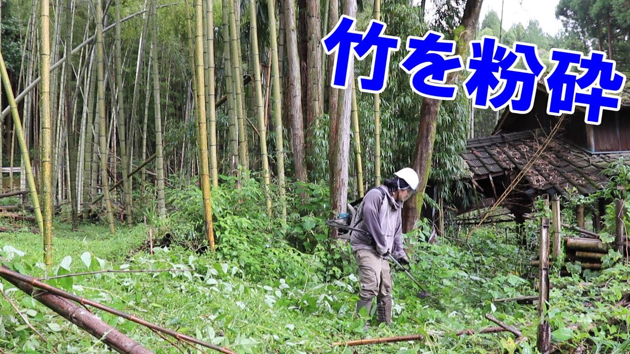 クリア無双で竹や草を粉砕して藪を片付ける|放置するとすぐに草ボウボウ - YouTube