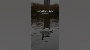 #سعد_الغامدي ‏‎السورة 📖 الشعراء