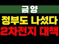 [금양] 정교수의 5월26일 추천종목 #라온텍 #금양 정부도 나섰다, 2차전지 최종대책 공개!! #금양주가