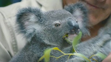 Thank You Nonprofits