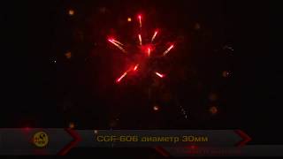 CGF-606 2012