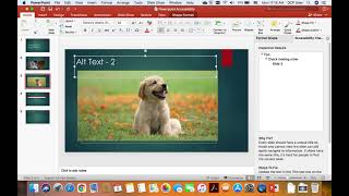 PPT Accessibility Part 6: PowerPoint