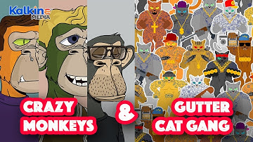What is Crazy Monkey & Gutter Cat Gang NFTs?