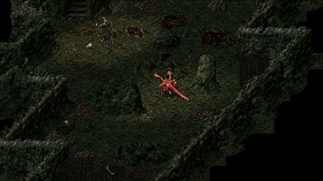 Divine Divinity (Part 71) - Iona