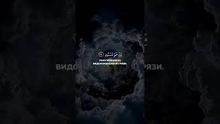 Сура:аль-Хиджр• аяты 26-31#напоминание #ислам #топ #рекомендации #reels #rek