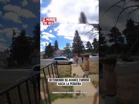 Vecino y madre salvan a una niña de ser embestida por un alce gigante