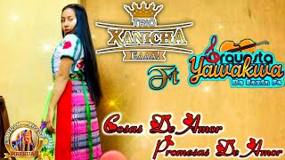 Video thumbnail of "Cosas De Amor, Promesas De Amor - Trio Xanicha Ft Compa Chino Yawakua (2021)"