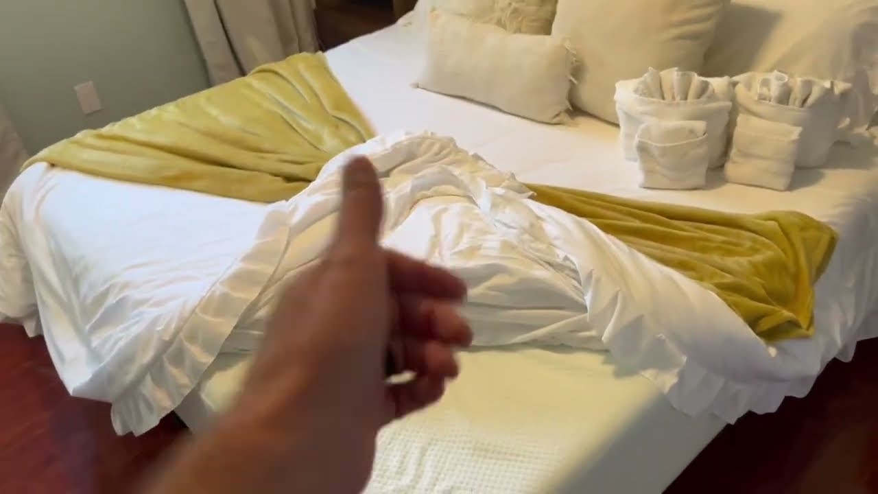 ZINUS 10 Inch Green Tea Essential Memory Foam Mattress, Bed in a Box, Affordable Mattress Review