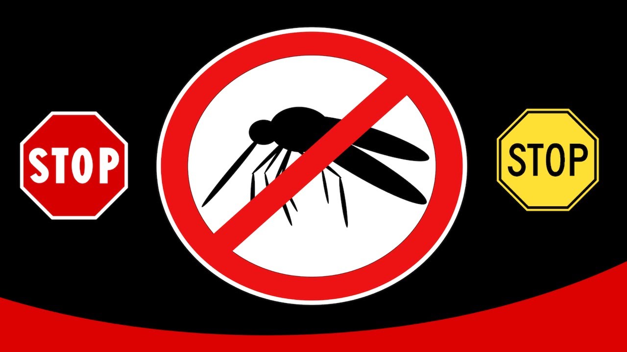 Sound To Make Mosquitoes Go Away