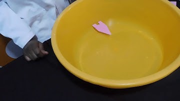Soap Powered boat | FunKe Science Hosted by Prof Tj and Nellywelly