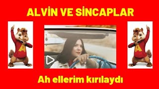 TUĞÇE KANDEMİR - AH ELLERİM KIRILAYDI  | ALVİN VE SİNCAPLAR Resimi