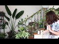 Tour plantas de interior en mi sala 💚🌿 Compras Nuevas de Plantas | Abril 2021