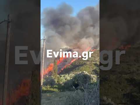 Μεγάλη φωτιά στην Εύβοια