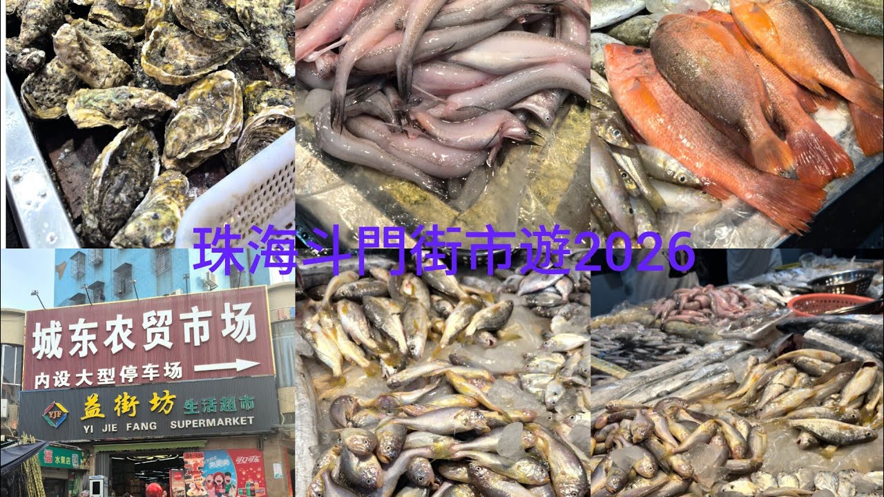 珠海斗門2026街市遊~海鮮平靚正