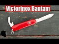 Обзор компактного карманника - Victorinox Bantam 0.2303