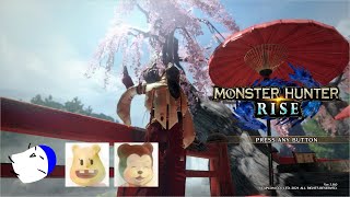 モンハンライズ配信～イボーン塩タカたろちん～