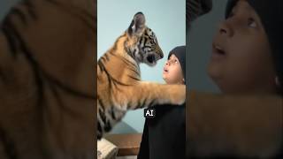 Tiger AI #shorts #viral #trening #viralshort #ytshorts #youtubeshorts #youtube
