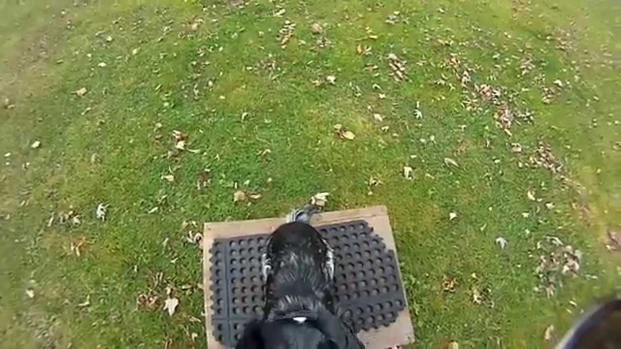 Murphy learning steady 11 2 15