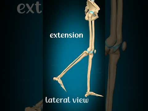 Extensor Excursion What Does Excursion Mean In Medical Terms