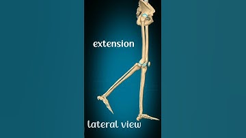 Flexion and extension on knee joint#physiorehab #drsamia