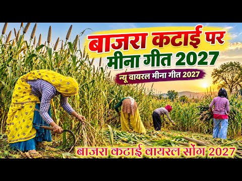 बाजरा कटाई पर शानदार मीना गीत 2027 || Bajra Katai Meena Geet । बाजरा कटाई पर मीना गीत 2026