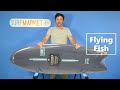 Flying Fish Ezi Rider 5'8" Ocean&Earth Surfboards