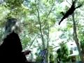 Microsoft WindowsXP TV Ad Ray Of Light Madonna 