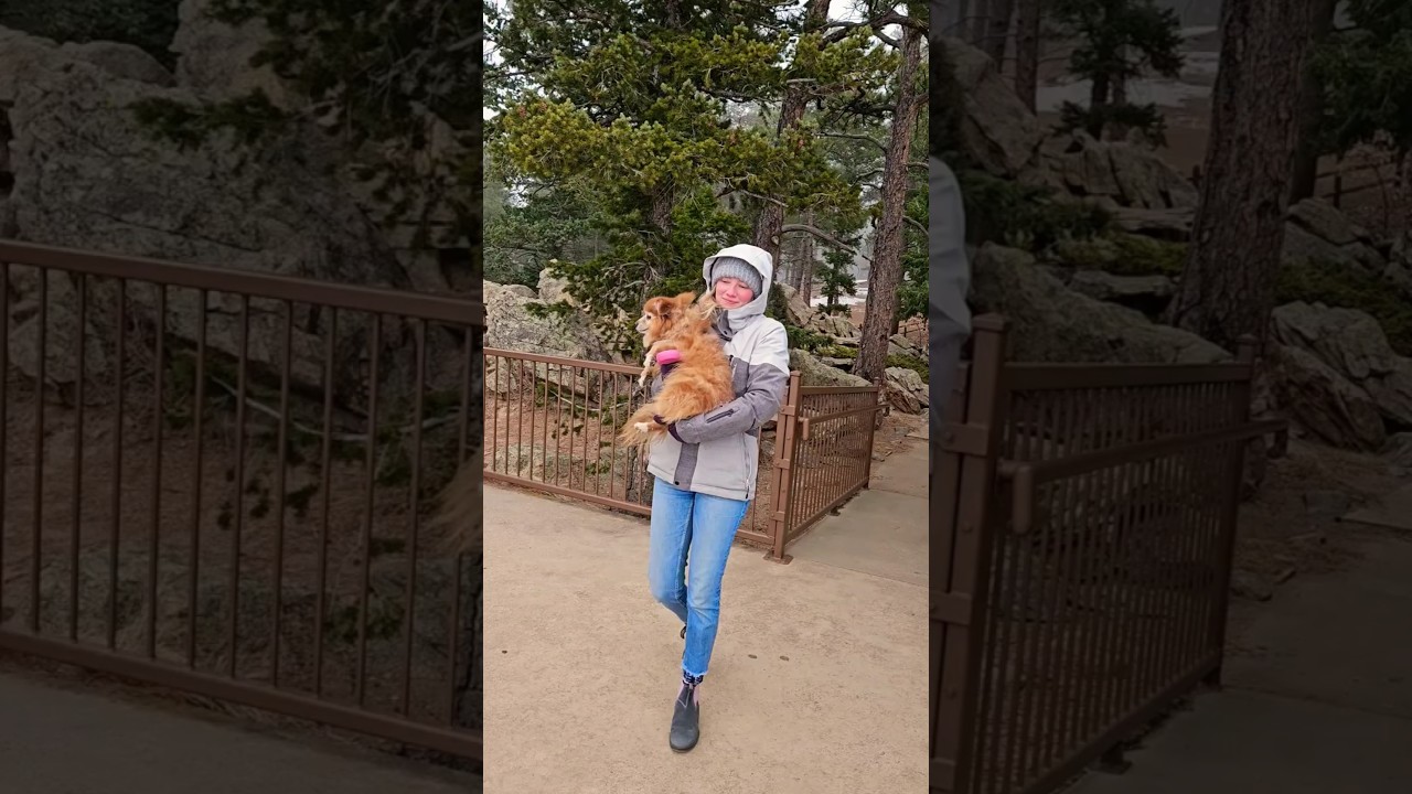 Minecraft Render Distance