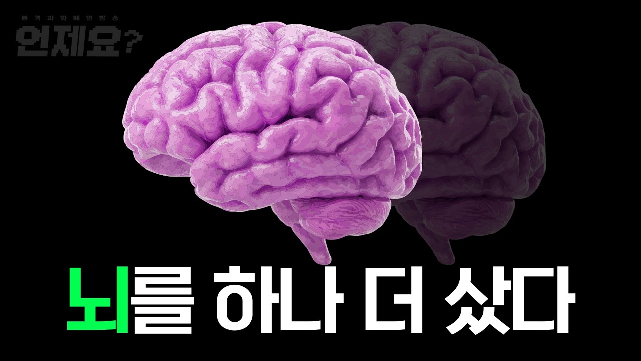GPT는 버렸다. 실리콘밸리에서 화제인 AI로 야근 탈출 실험. l 언제요 Ep16
