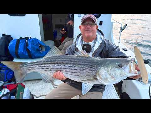 Giant Lure Catches Monster Striped Bass (Cape Code Fishing At Its Best Ep. 4)
