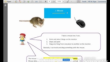 Edexcel Syllabus | ICT 6 | Chapter 1 | Part 2 | Keyboard | Pointing Devices - Mouse