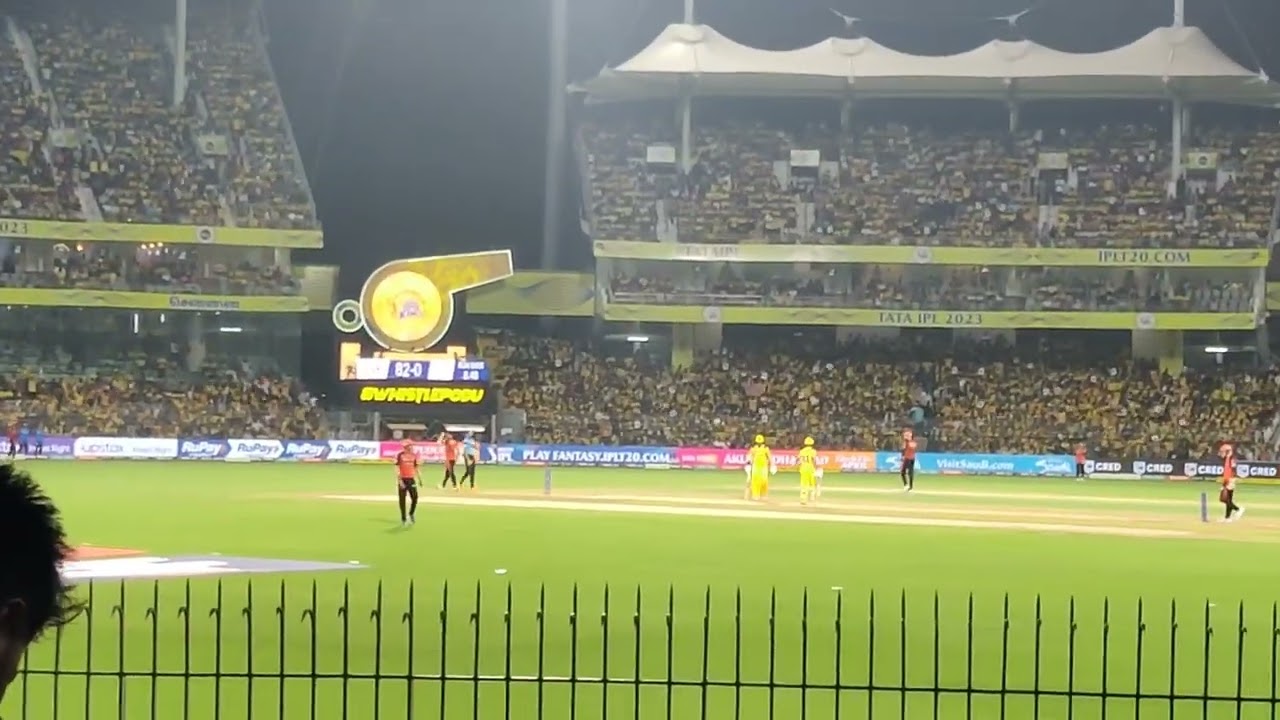 Devon Conway half century celebration 🎉🎉 