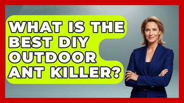 What Is The Best DIY Outdoor Ant Killer? - Insects and Invaders