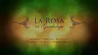 La Rosa De Guadalupe - Convertirse En Millonaria - PARTE 1