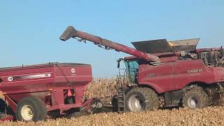 Corn Harvest 2023 Chasing  CASE IH AxialFlow®  MX255  J&M 750 #harvestchaser 4K