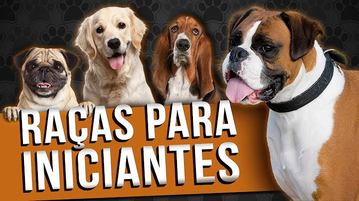 10 Raças MAIS FÁCEIS para INEXPERIENTES / INICIANTES no mundo canino - TOP10