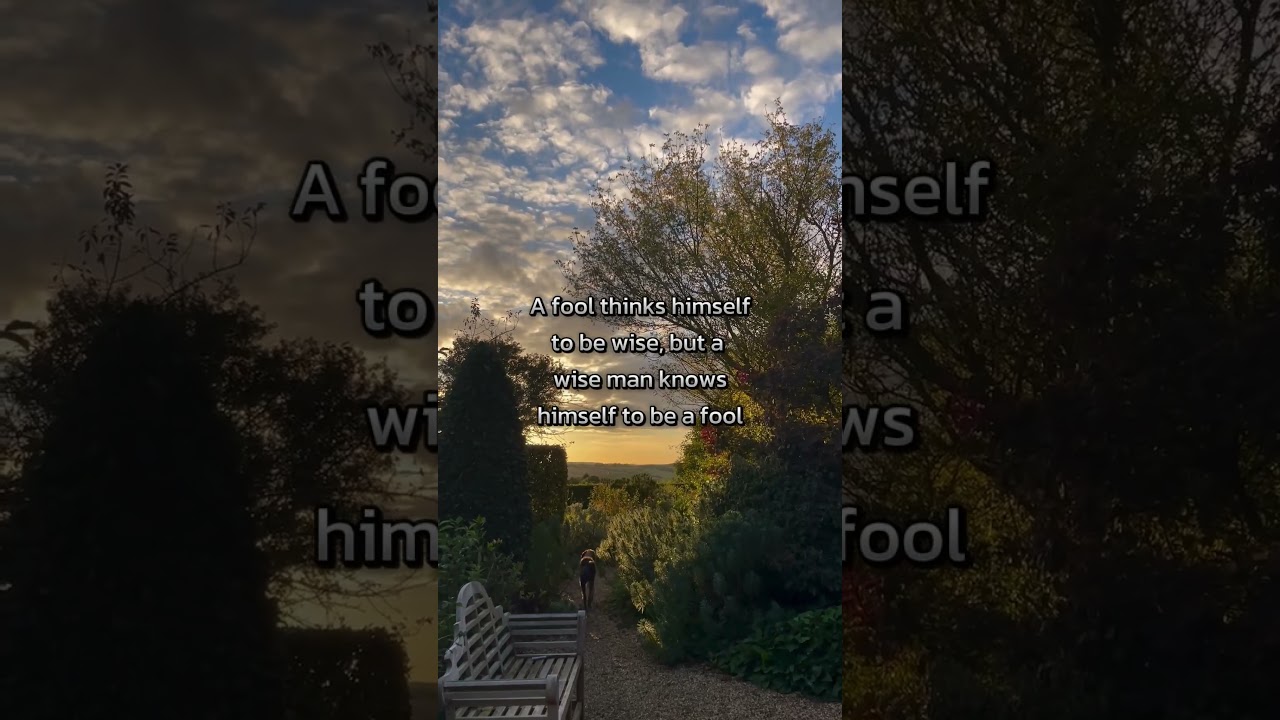 The Fool’s Wisdom 🤔🤞