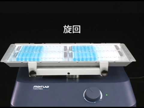 動画