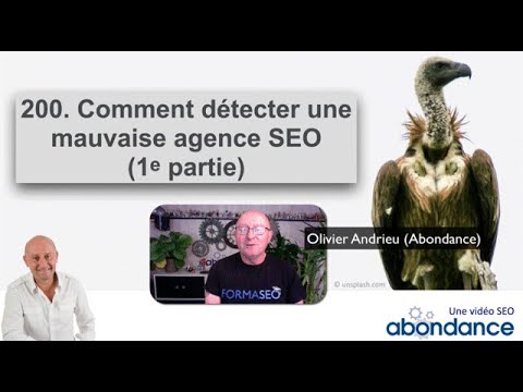 Abondance.com : 28 ans de référence SEO en France