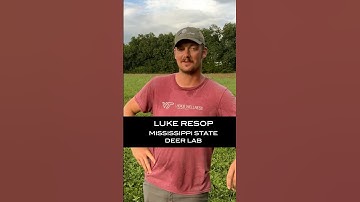 The ONE THING For Deer Food Plots  #deerhunting